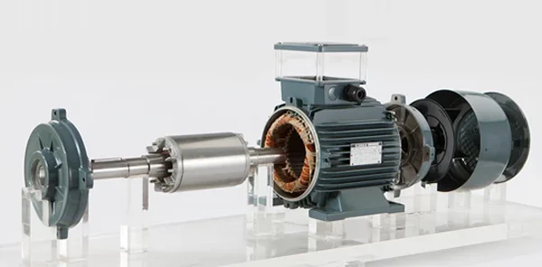 Gamak Alçak ve Orta Gerilim Motorları | FabrikaMalzemeleri.com.tr